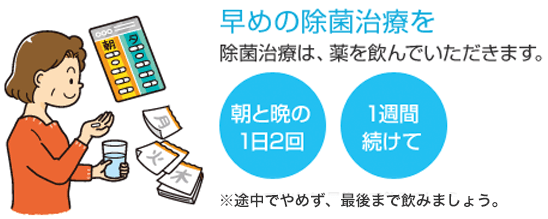  早めの除菌治療を除菌治療は、薬を飲んでいただきます。朝と晩の1日2回 1週間続けて　※途中でやめず、最後まで飲みましょう。